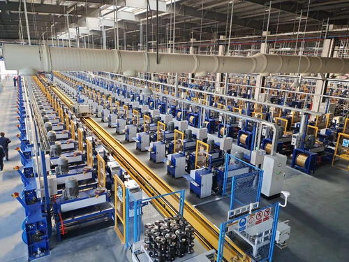 江苏兴达公司年产35万吨高性能子午线轮胎用钢帘线扩建项目 一期 正式投产
